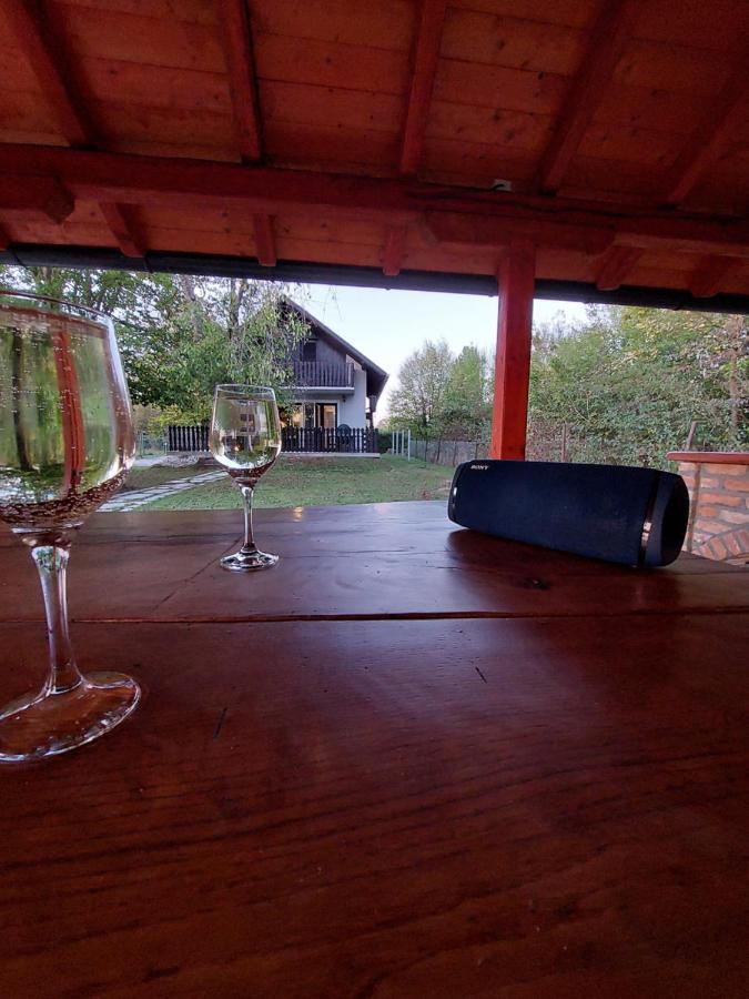 House Kupa Mb Villa Petrinja Eksteriør bilde