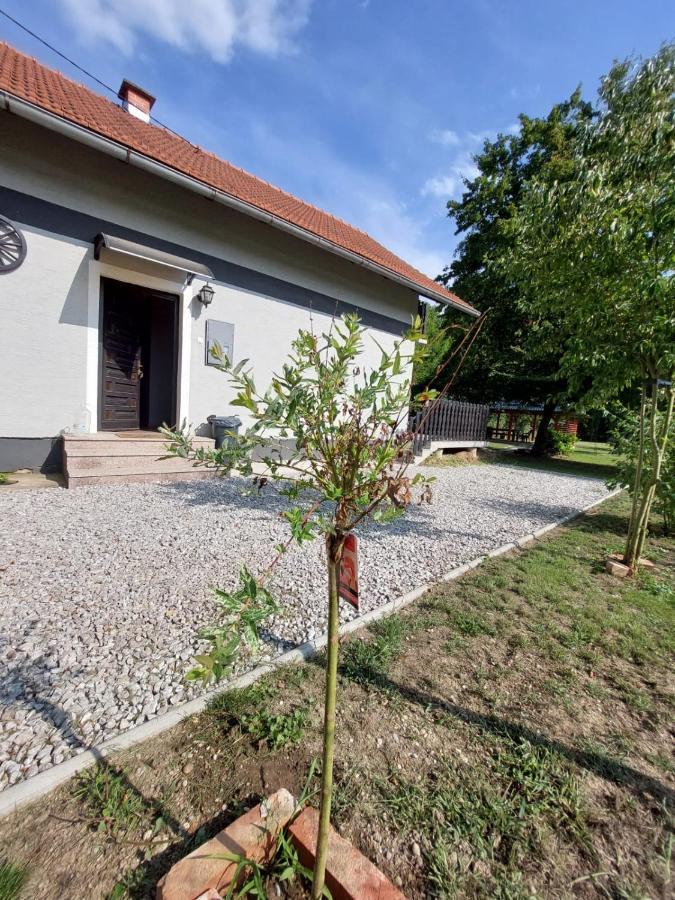 House Kupa Mb Villa Petrinja Eksteriør bilde