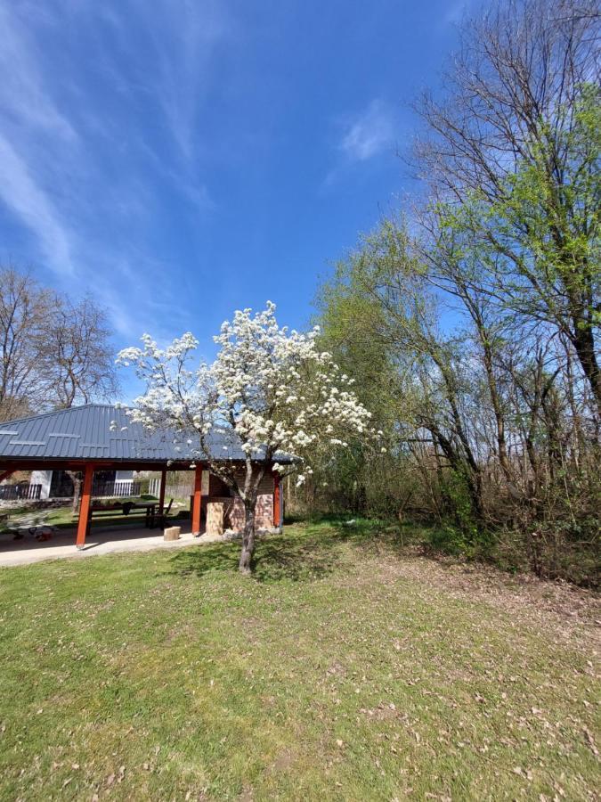 House Kupa Mb Villa Petrinja Eksteriør bilde